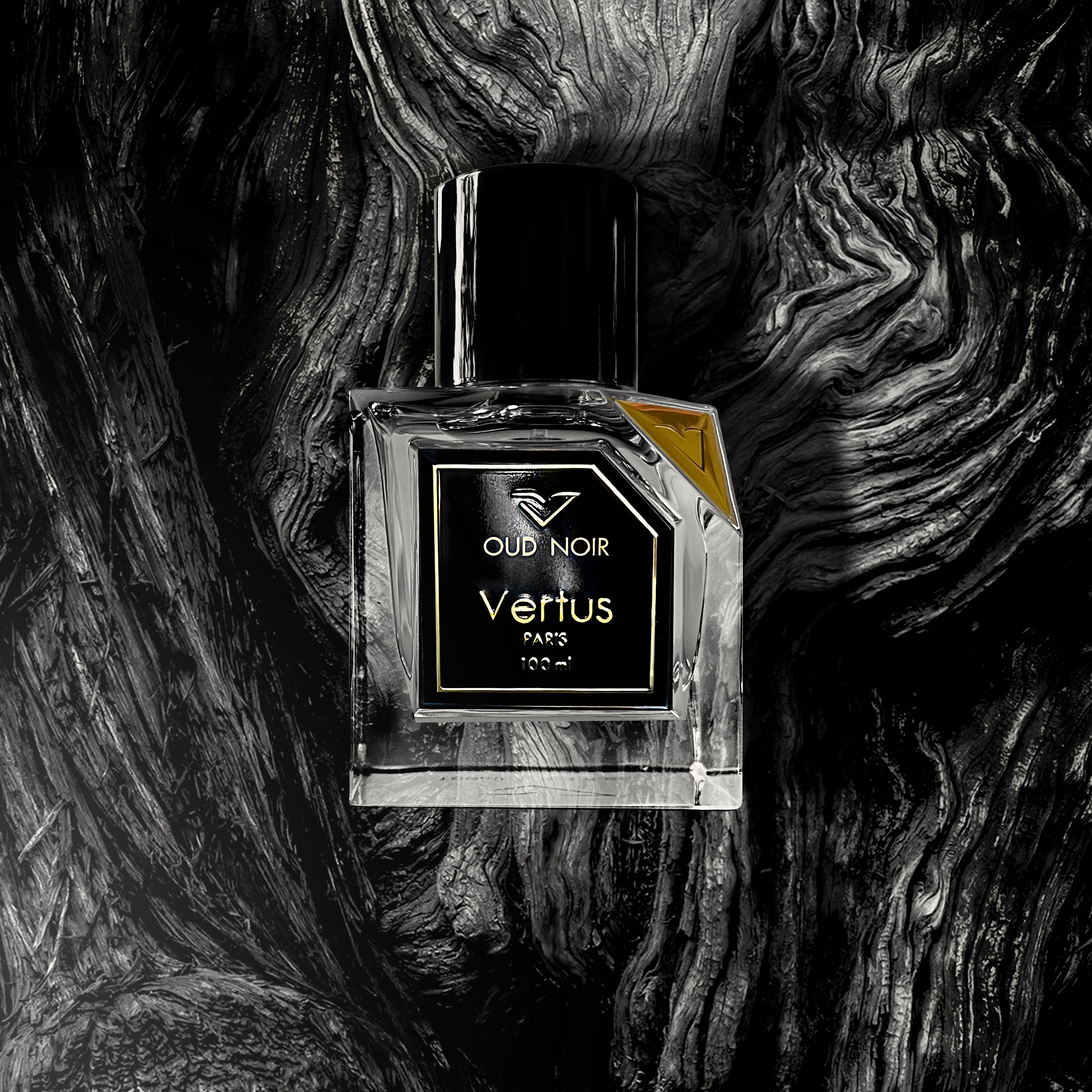 oud noir parfum